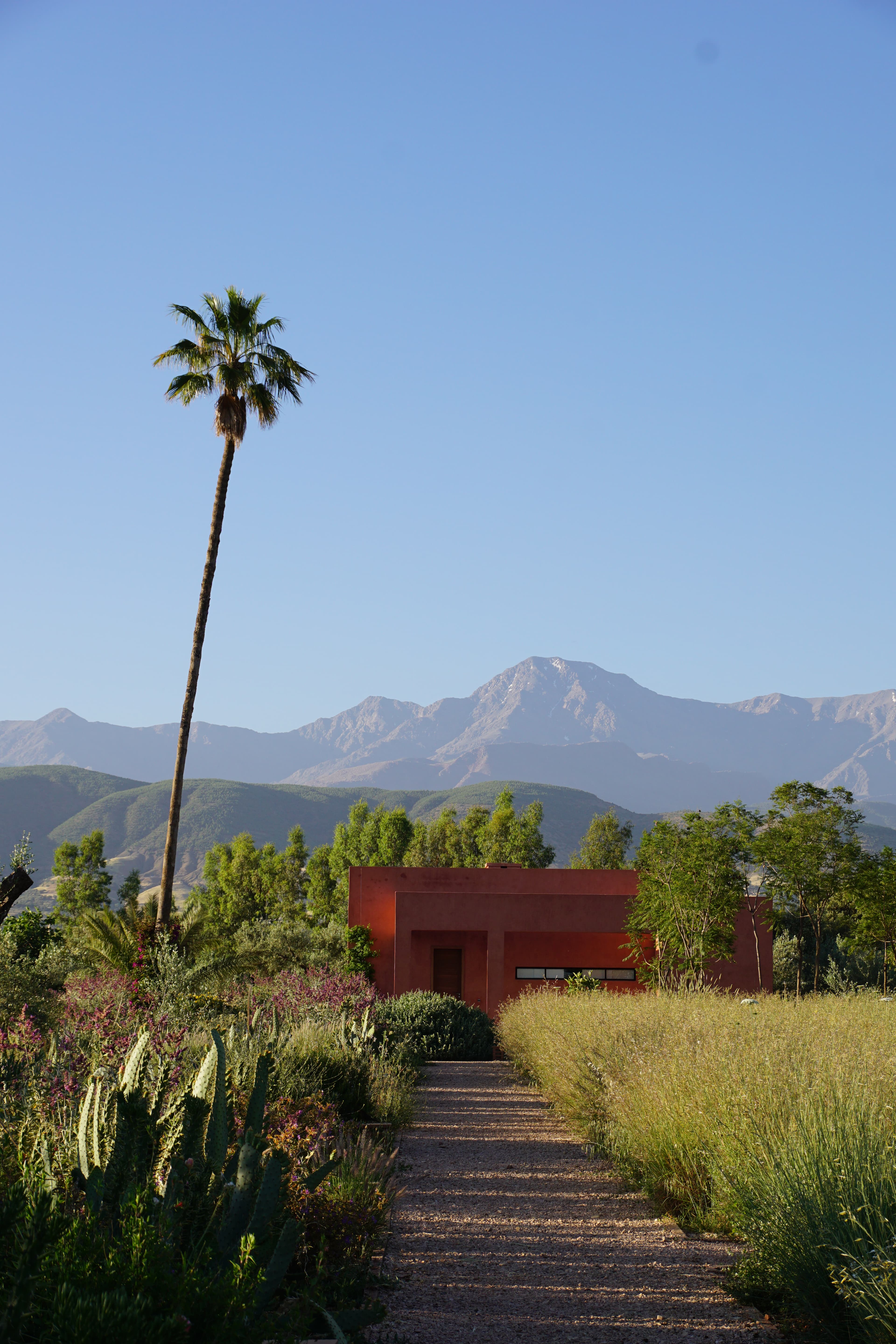 /features/garden/garden-11.jpg