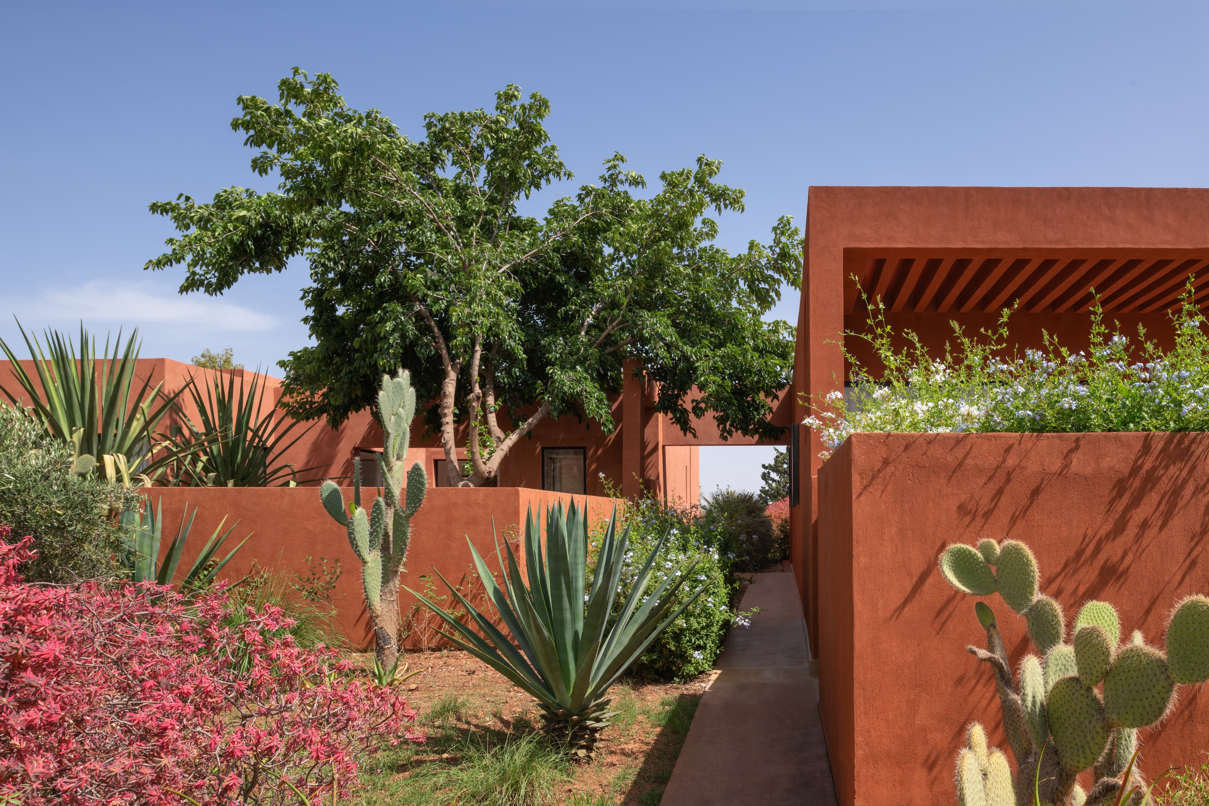 /features/garden/garden-13.jpg