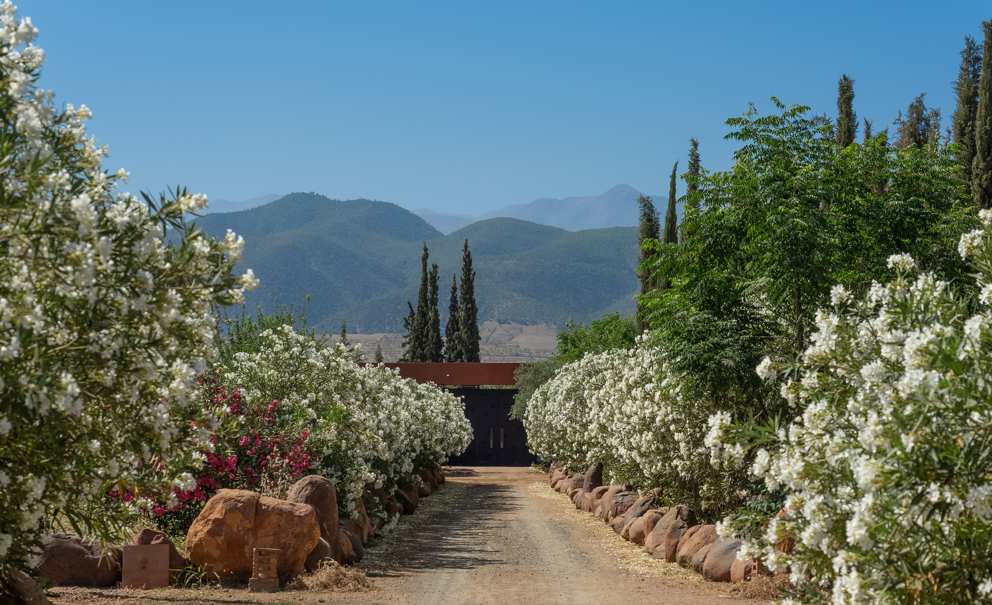 /features/garden/garden-14.jpg